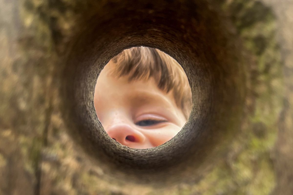 Close-up view of a young child’s face peeking through a circular hole in a tree trunk, with soft light highlighting their eye and nose.