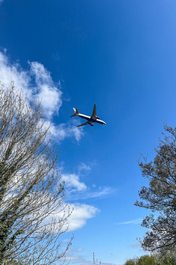 Traveling by plane An airplane with extended landing gear flies overhead against a bright blue sky with white clouds, framed by the tops of leafless trees.