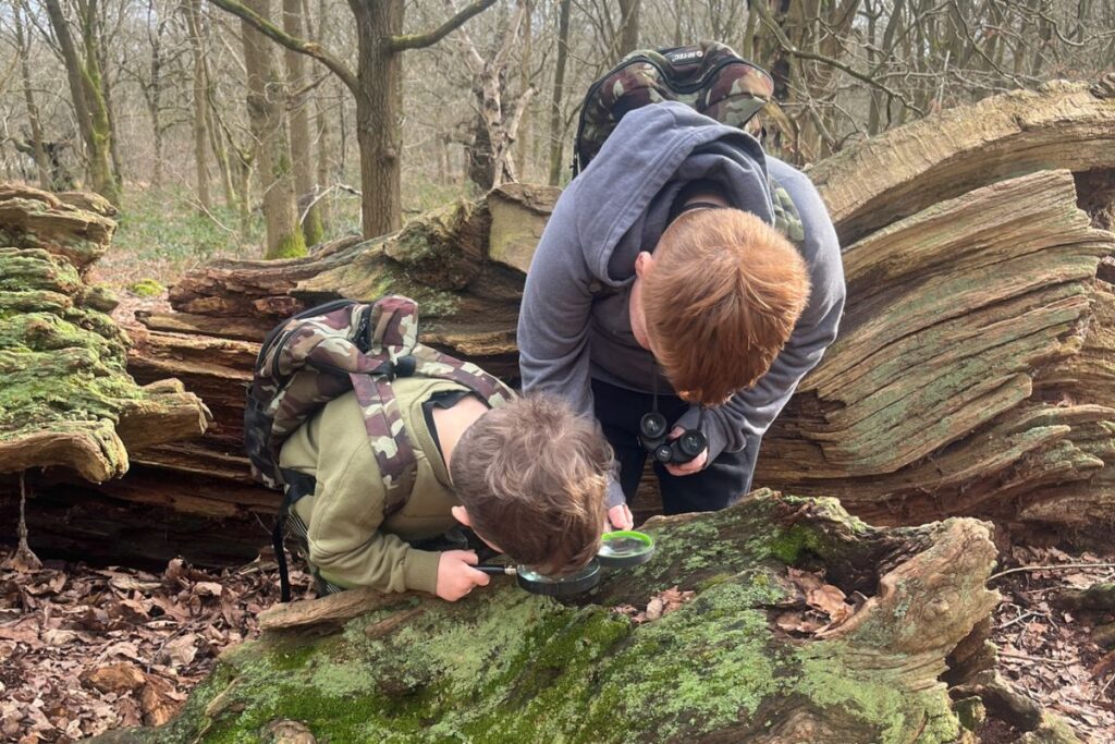 Two children with backpacks examine a fallen tree in the woods using magnifying glasses, surrounded by leaf litter and bare trees.