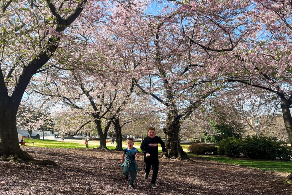 Stress-free travel with kids