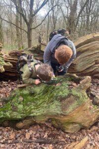 Two children with backpacks examine a fallen tree in the woods using magnifying glasses, surrounded by leaf litter and bare trees.
