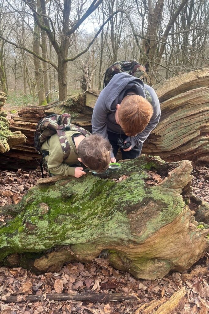 kid friendly activities
