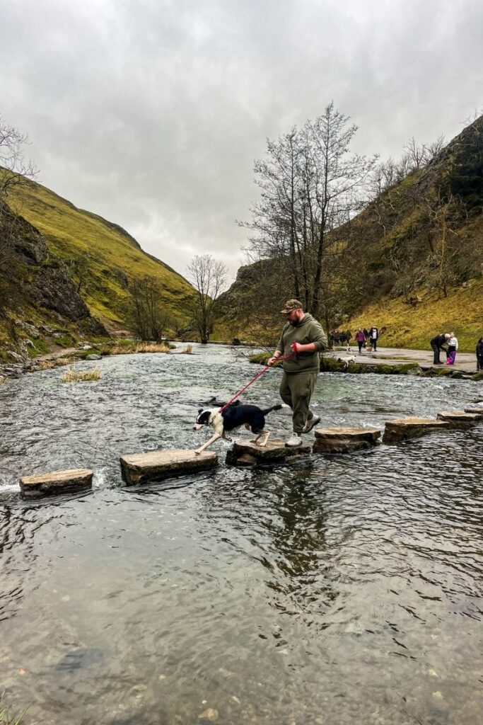 The image shows an outdoor countryside scene where a person is carefully crossing a shallow river using a line of flat stone stepping stones. The person wears muted green outdoor clothing and holds a red leash attached to a black-and-white dog. The dog steps confidently ahead, stretching forward to the next stone while the water flows gently around the stones below. The riverbanks rise into grassy hills on both sides, with moss-covered rocks and patches of bare earth visible along the slopes. The sky overhead is overcast, creating soft, diffused light that flattens harsh shadows and gives the scene a calm, cool tone. In the background, several other people stand or walk along a stone path near the river’s edge, some pausing to watch the crossing. Leafless trees line parts of the valley, suggesting early spring or late winter. The image conveys movement, balance, and quiet adventure in a natural setting, emphasizing the connection between the person, the dog, and the surrounding landscape.