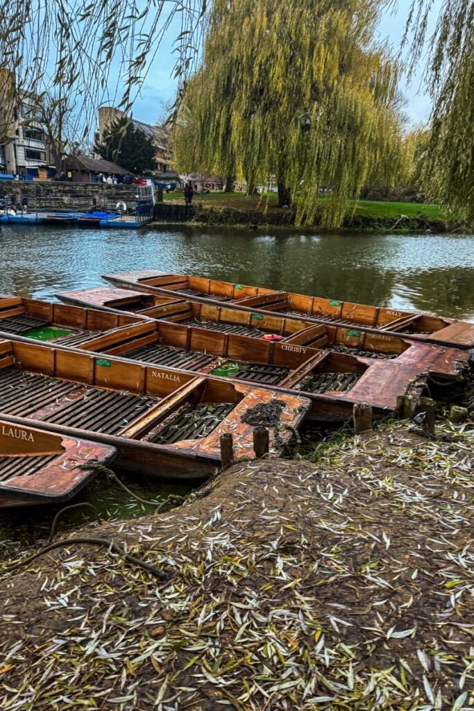 Cambridge Punting Several traditional wooden rowing boats are moored along the muddy edge of a calm river. The boats are arranged side by side and each has a painted name on its side, including Laura, Natalia, Christy, and Holly. Fallen leaves and small twigs are scattered across the riverbank and inside the boats, suggesting autumn. Across the river, a grassy park area is visible with a large willow tree whose long green branches drape toward the water. A small dock and blue floating platform sit along the opposite bank, where people gather near the water. Buildings and trees line the far side of the river, adding to the peaceful park setting. The water is still with gentle ripples, reflecting the greenery and muted daylight.