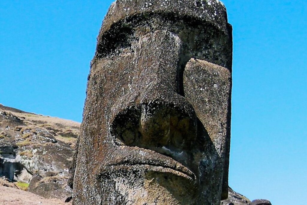 A close-up view of a large stone Moai statue stands against a bright blue sky on Easter Island. The monumental figure is carved from dark volcanic rock and features the distinctive elongated head and strong facial features typical of Moai sculptures. Its heavy brow ridge casts a shadow over deep-set eye sockets, while the long nose and tightly closed lips give the statue a solemn, almost expressionless appearance. The surface of the stone appears rough and weathered, showing centuries of exposure to wind and salt air. Behind the statue, a rocky hillside with sparse grass stretches across the landscape, reinforcing the remote and rugged setting. The image highlights the scale and craftsmanship of these ancient Polynesian statues, which were created by the Rapa Nui people and remain one of the most recognizable cultural landmarks in the world.