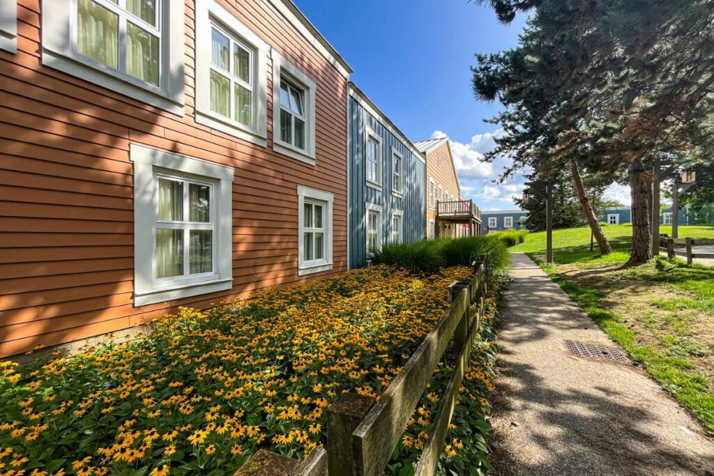 The image shows a landscaped pathway running through the grounds of Disney Hotel Cheyenne at Disneyland Paris on a sunny afternoon. On the left side are colourful western-style hotel buildings painted in shades of orange, blue, and cream with white-framed windows and wooden balconies. Along the pathway is a large flower bed filled with bright yellow flowers bordered by a low wooden fence. Tall green grasses and mature trees provide shade and greenery around the hotel grounds. The paved walkway curves gently through the area, leading toward more hotel buildings in the distance. Sunlight filters through the trees, casting soft shadows across the path and flowers. The peaceful setting contrasts with the busy Disney parks nearby, creating a calm and welcoming atmosphere inspired by a small frontier town in the American West.
